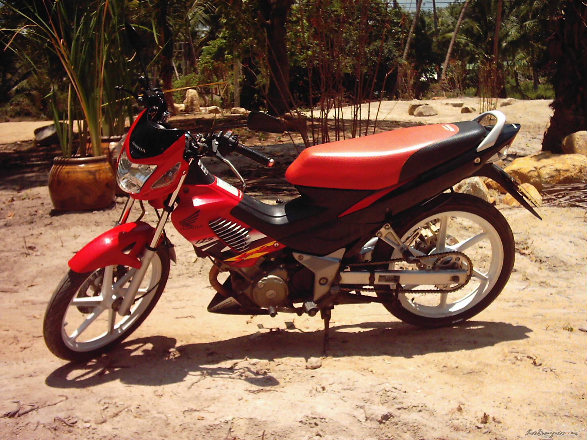 Photo 263648