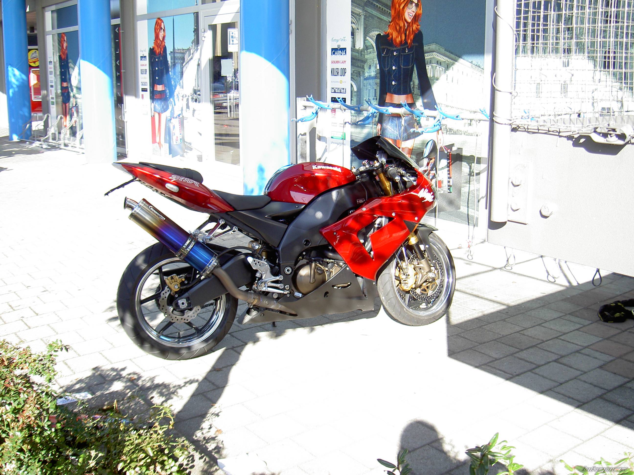 Photo 263649