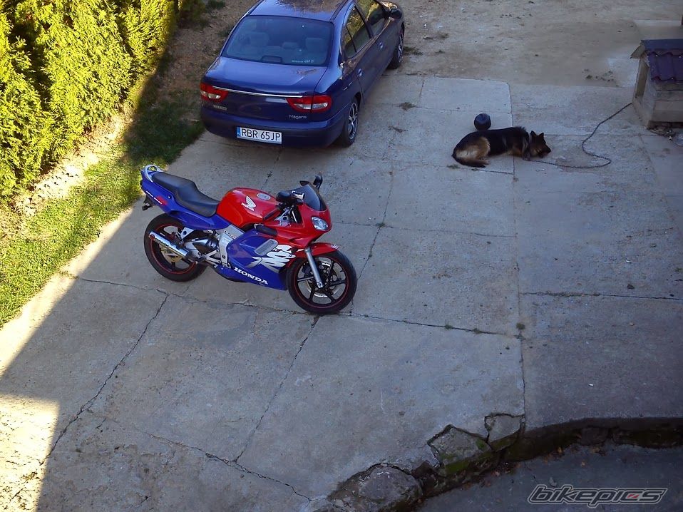 Photo 2636524