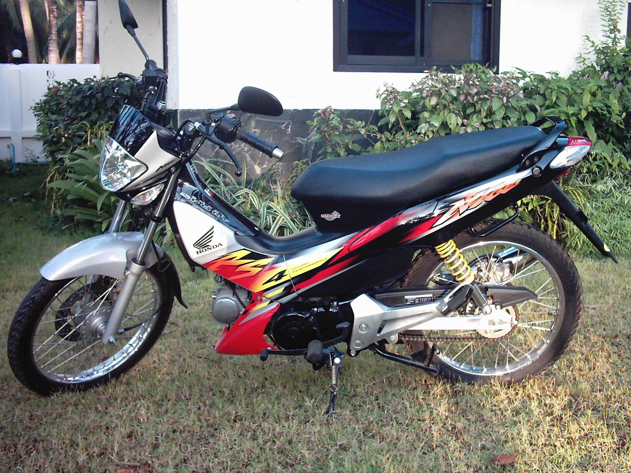 Photo 263654