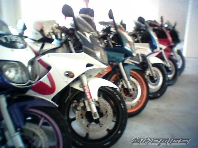 Photo 263656