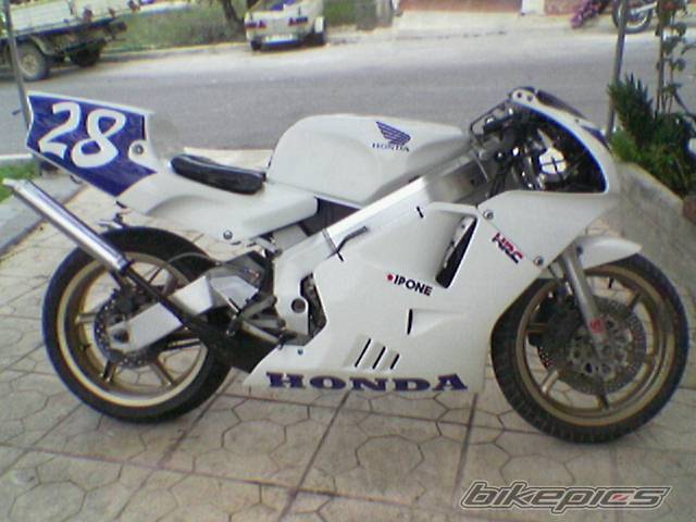 Photo 263659