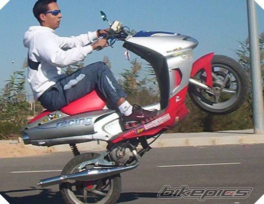 Photo 263661