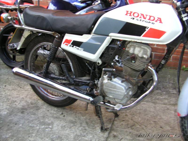 Photo 263673