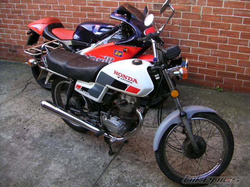 Photo 263674