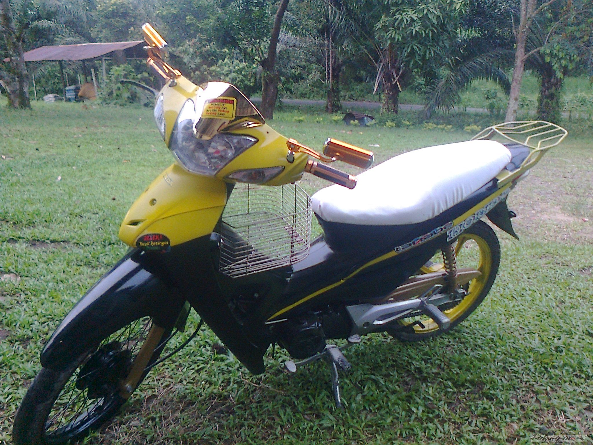 Photo 2636935