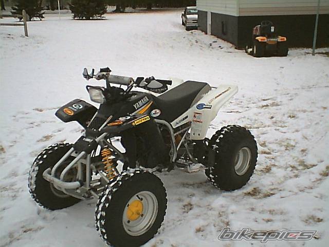 Photo 263696
