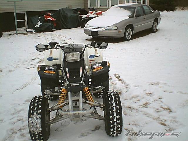 Photo 263697