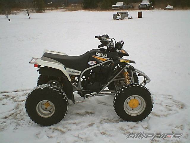 Photo 263698