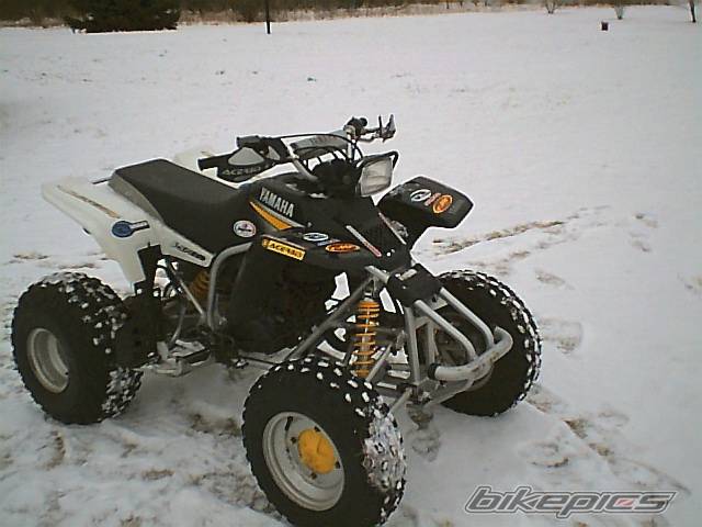 Photo 263699