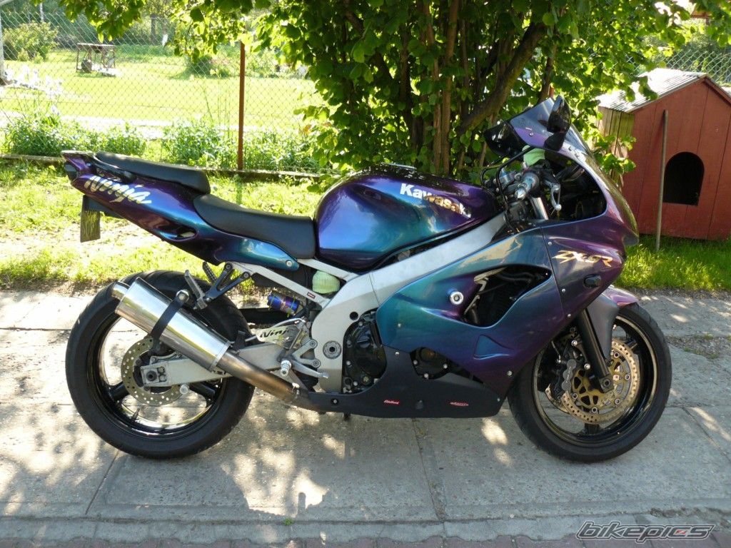 Photo 2637085