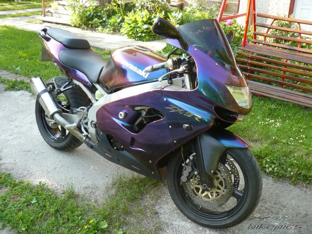 Photo 2637088