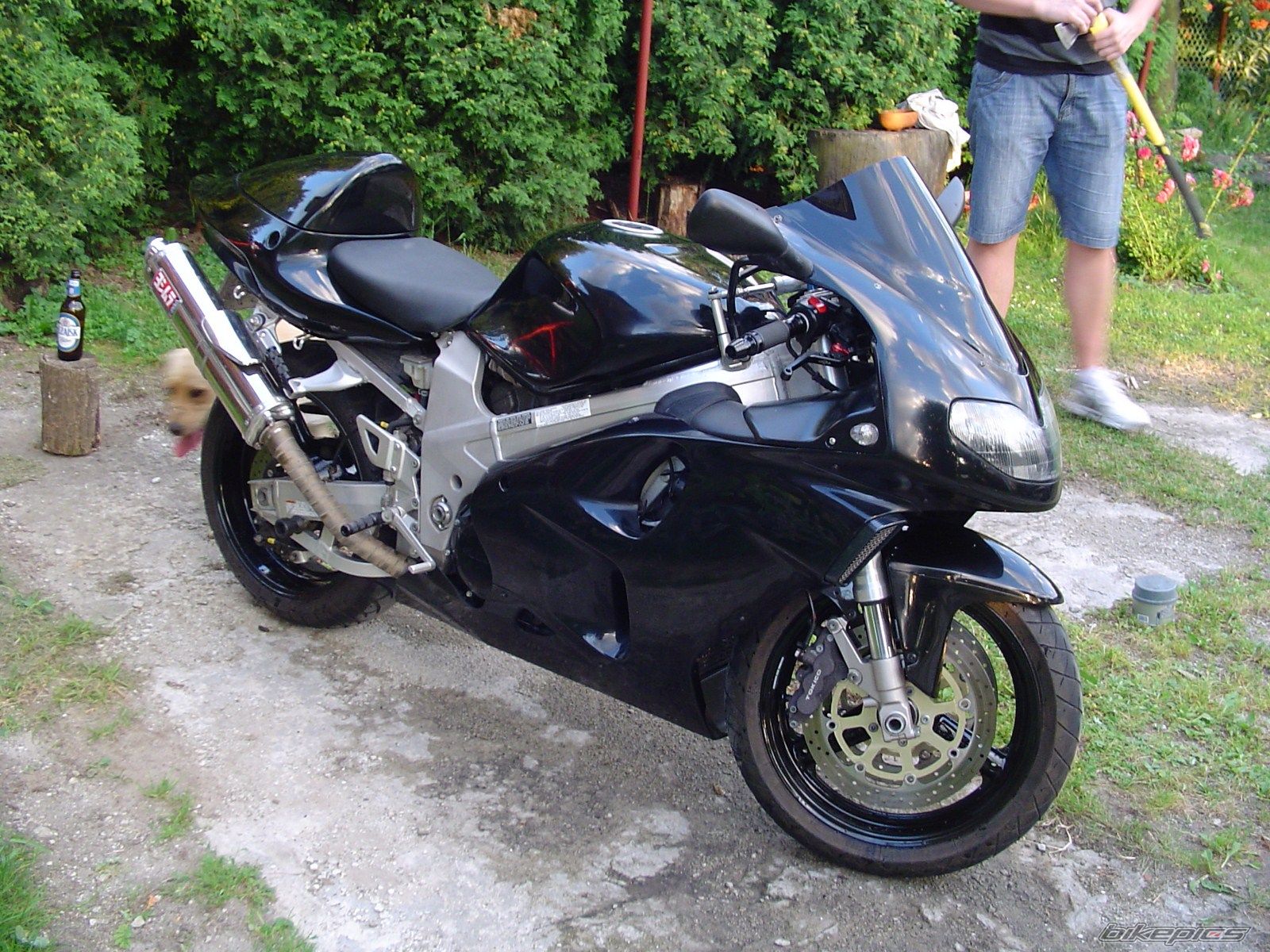 Photo 2637092