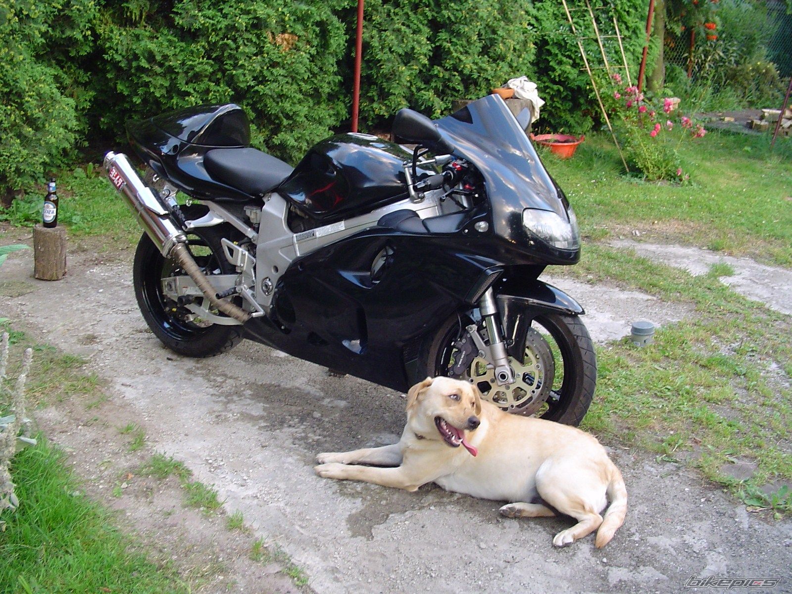 Photo 2637093