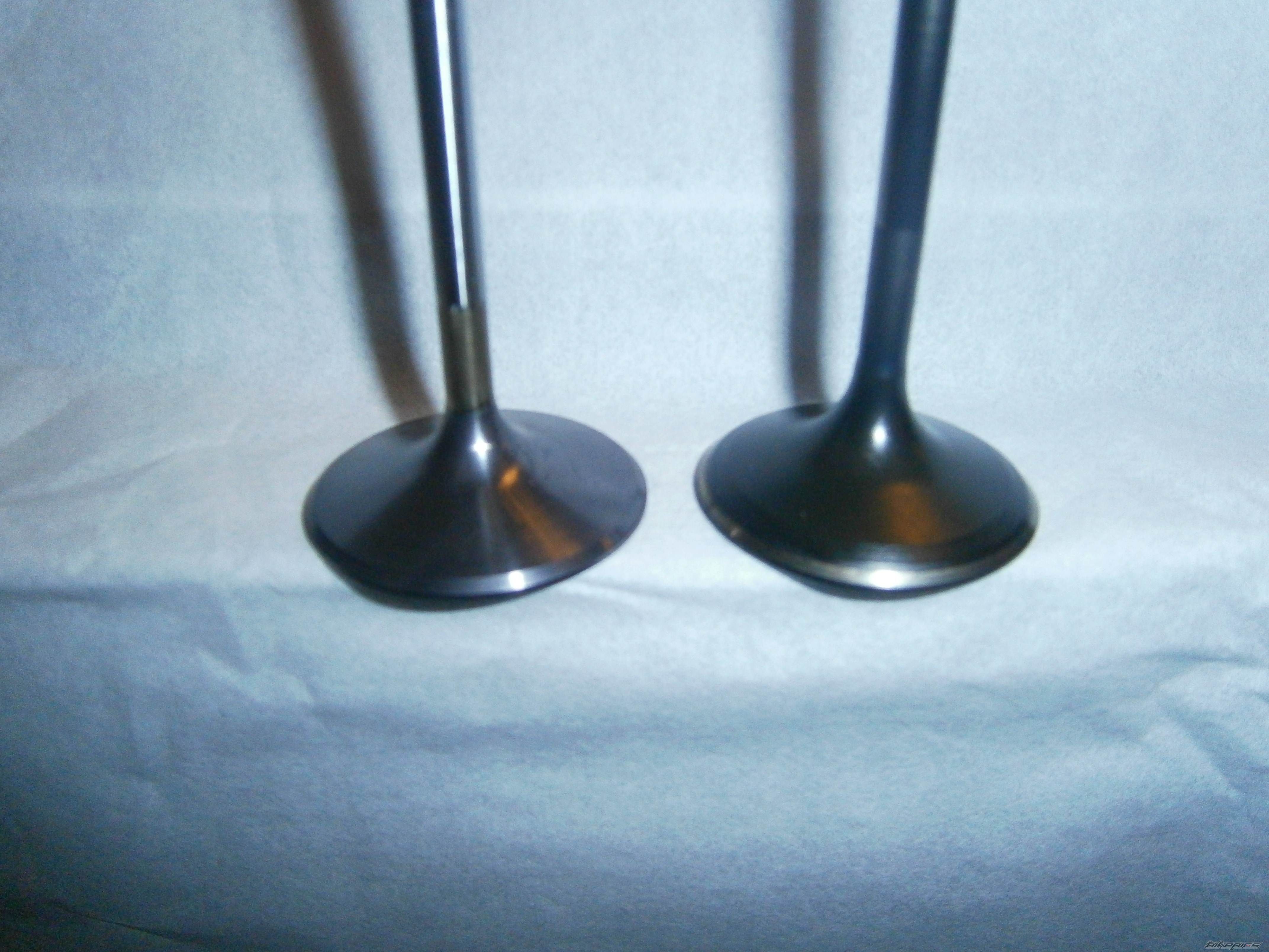 Photo 2637213