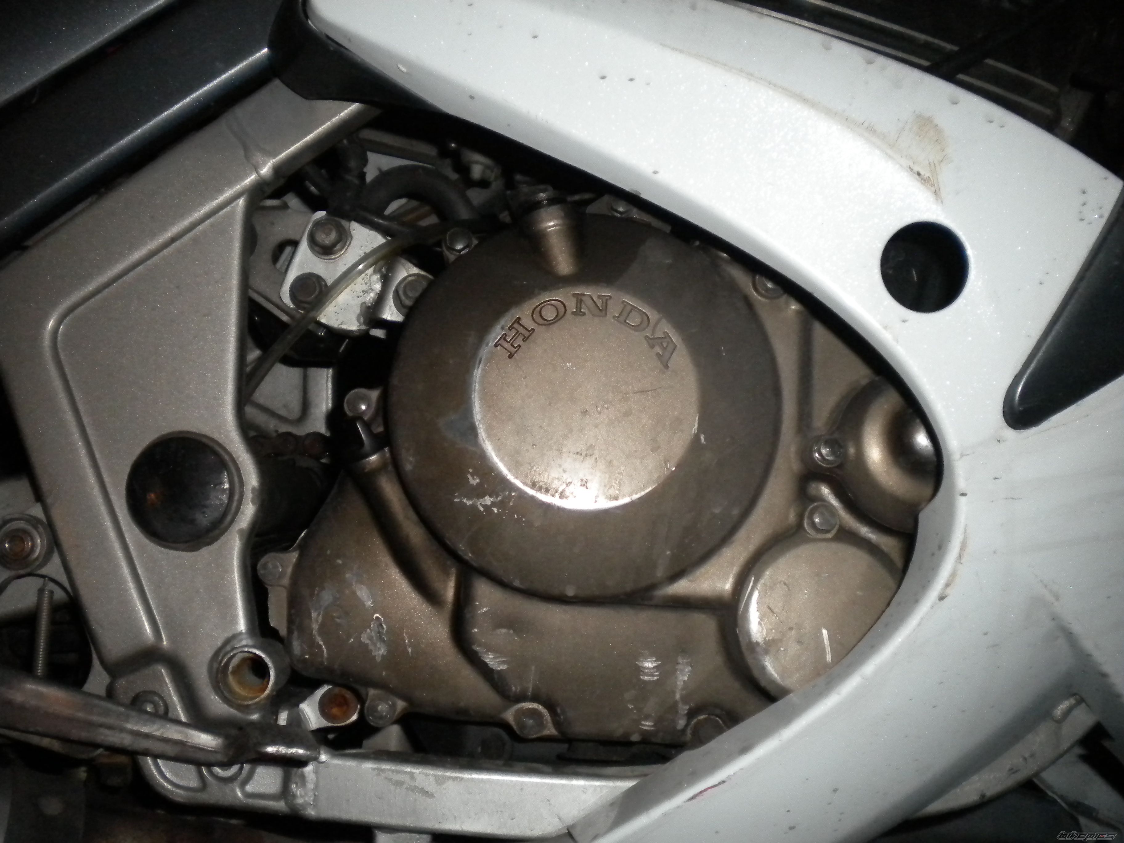 Photo 2637252