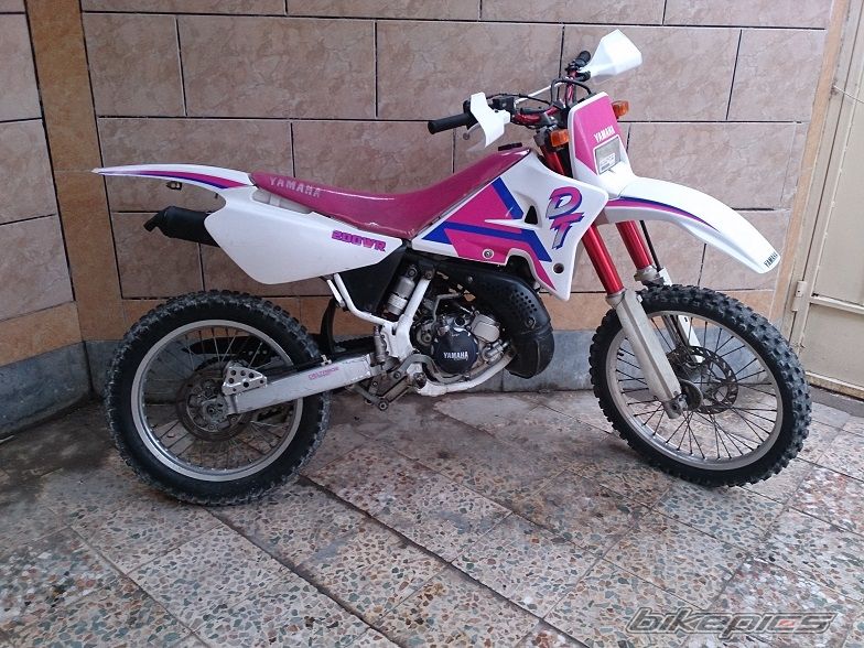 Photo 2637353