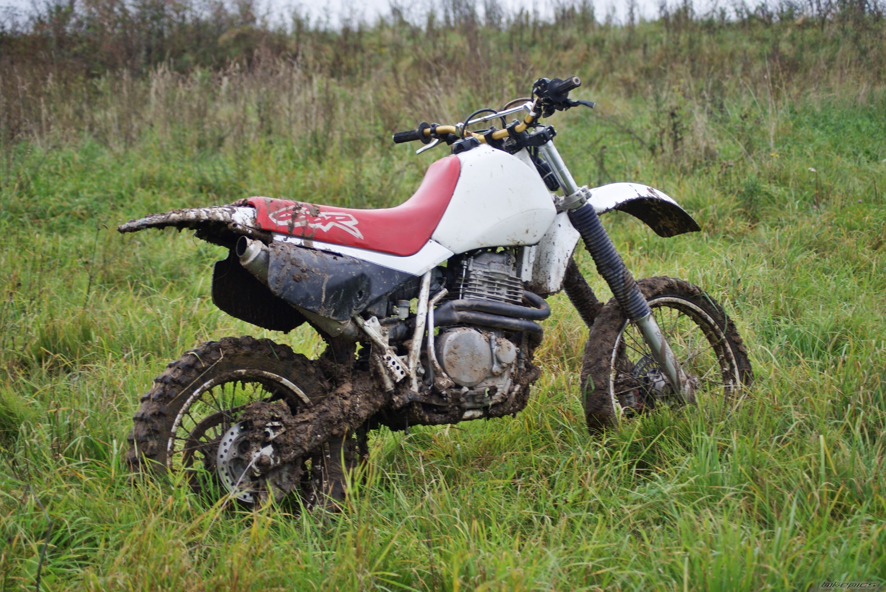 Photo 2637367
