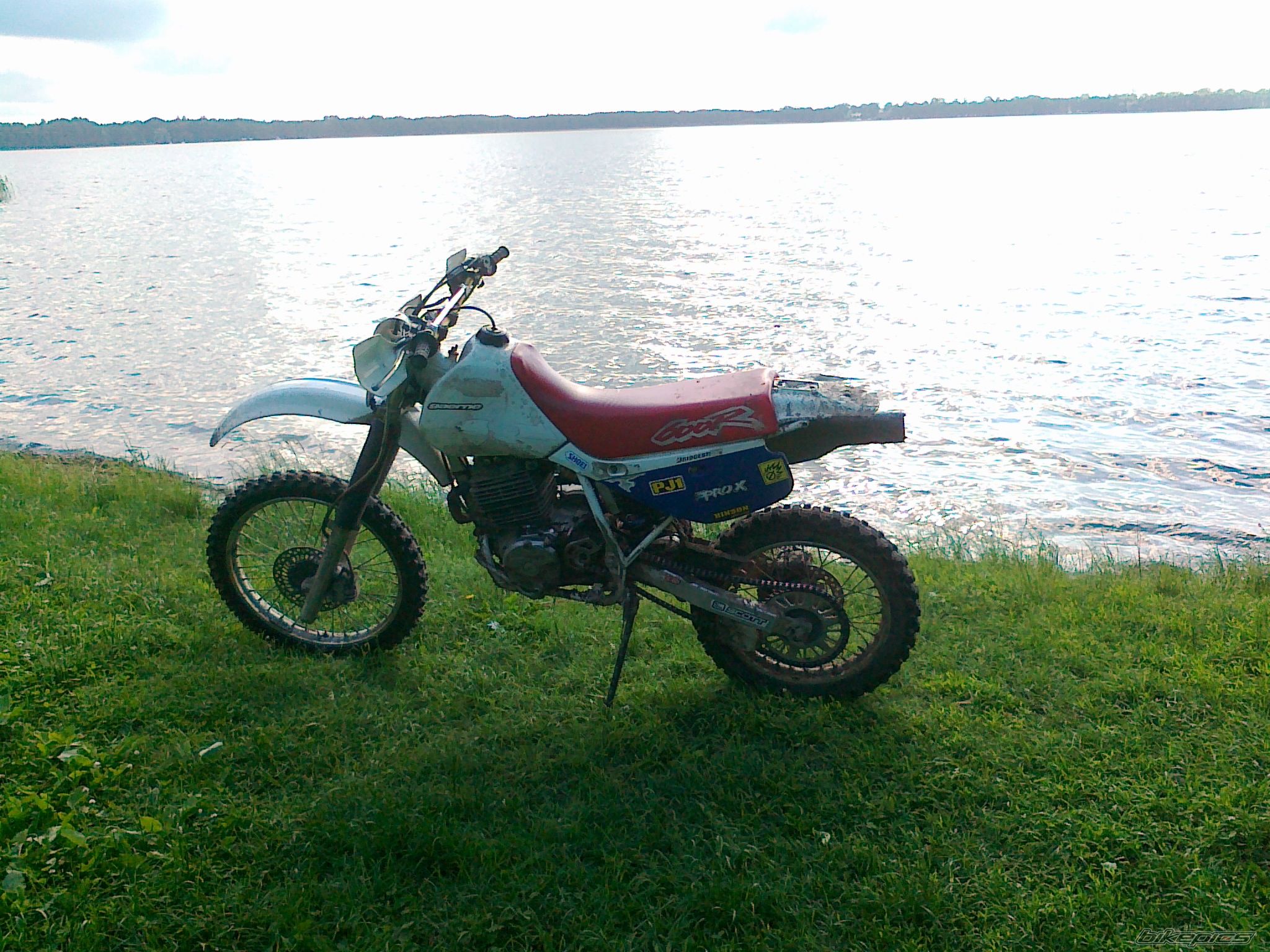 Photo 2637369
