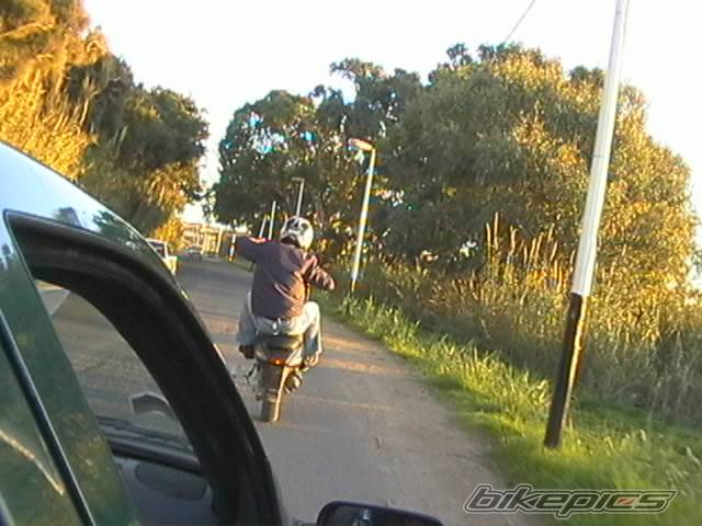 Photo 263742