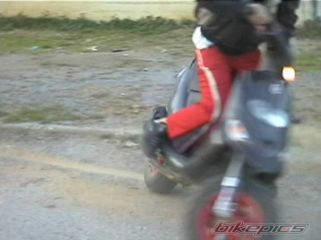 Photo 263744