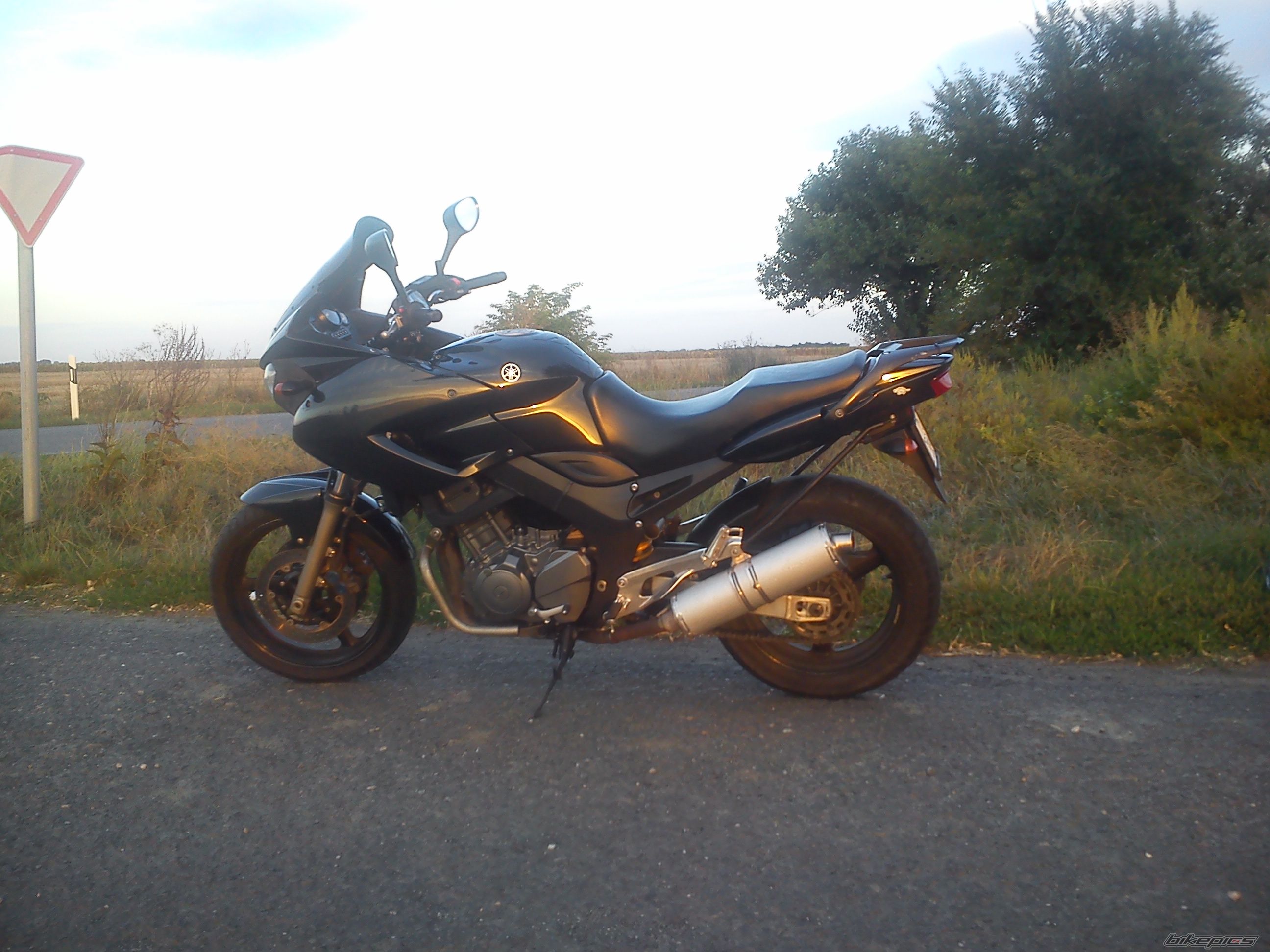 Photo 2637488