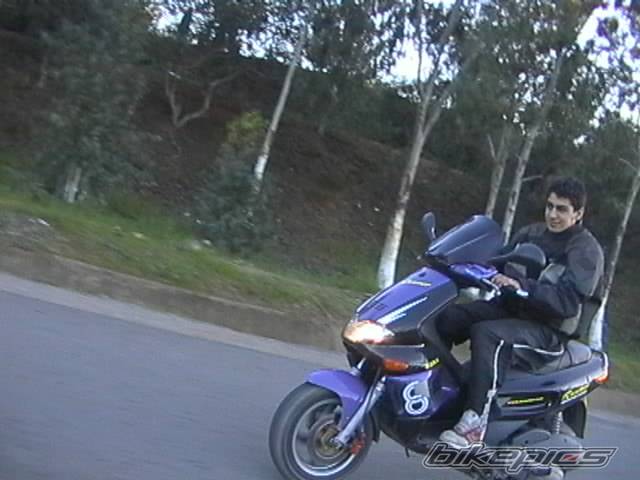 Photo 263751