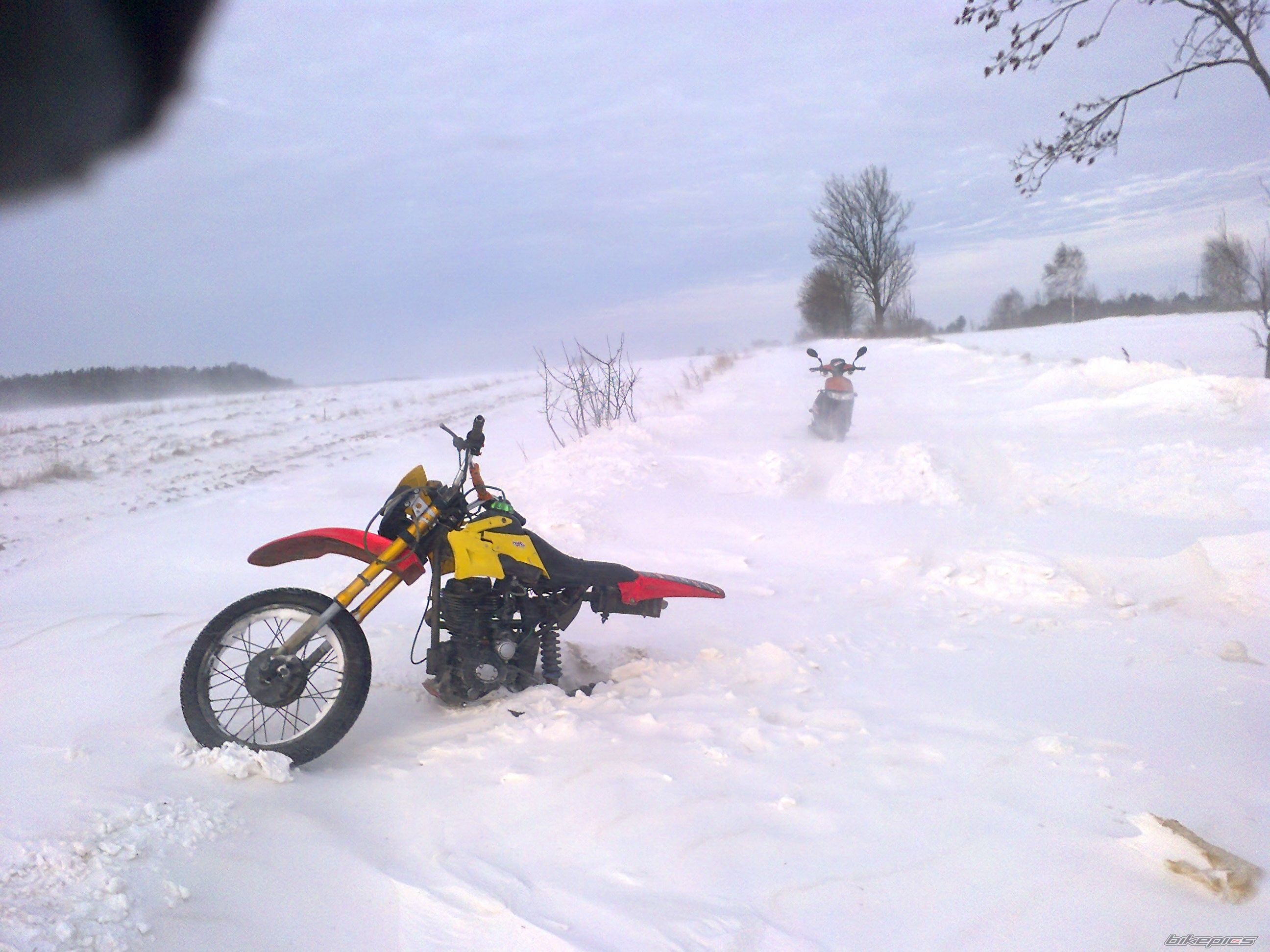 Photo 2637548