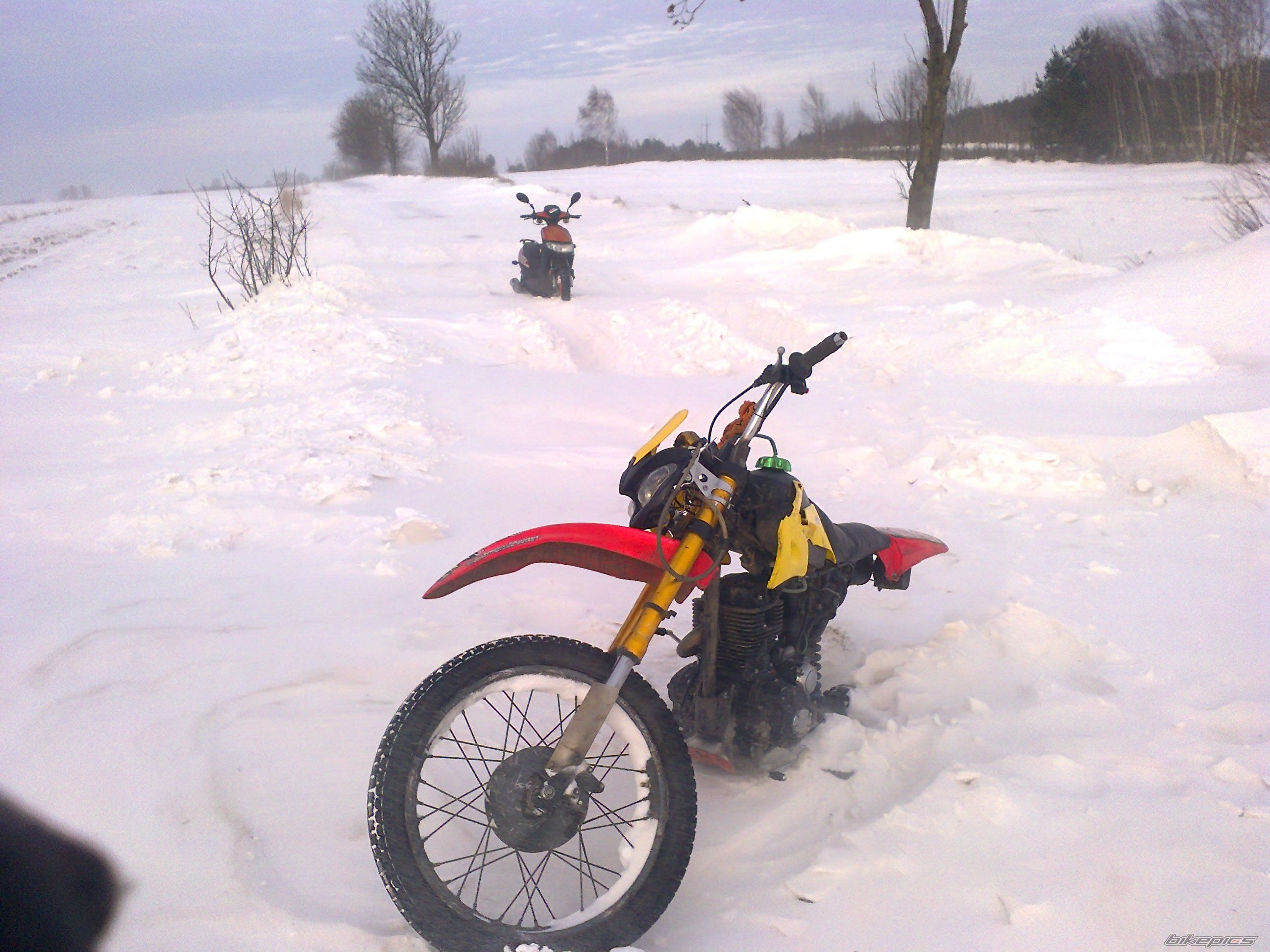 Photo 2637549