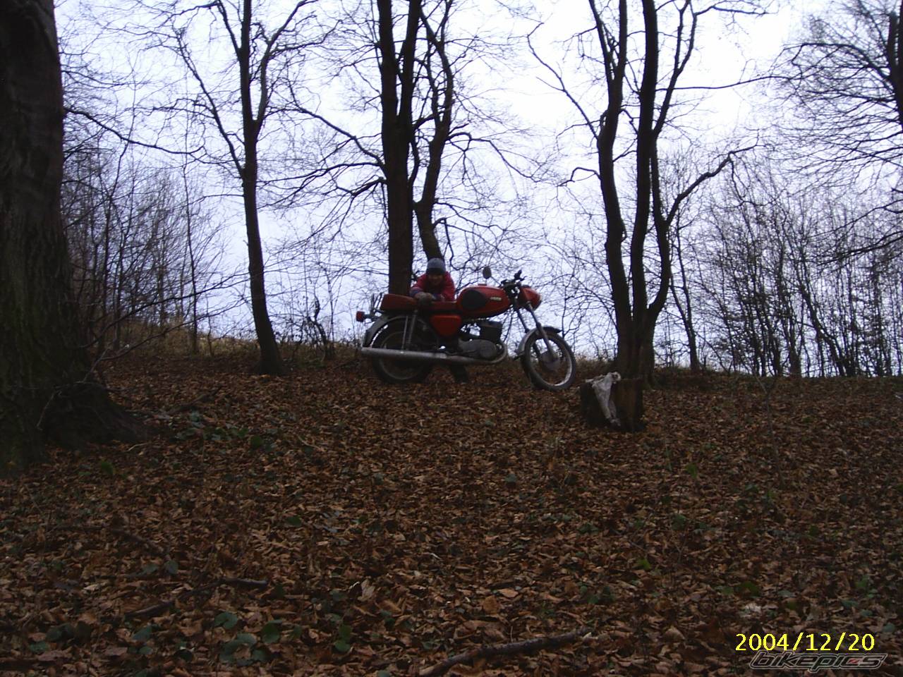 Photo 263759