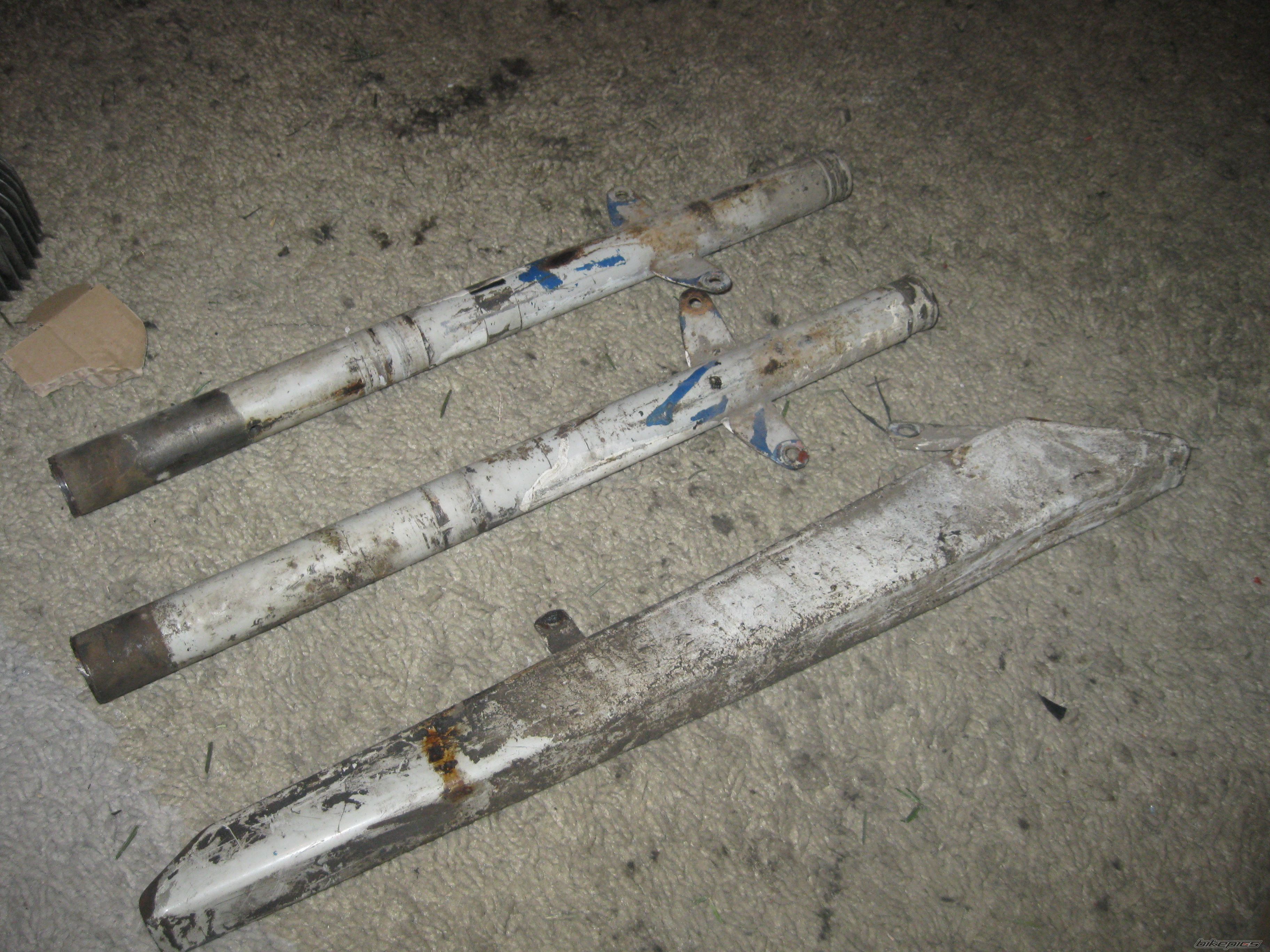 Photo 2637653