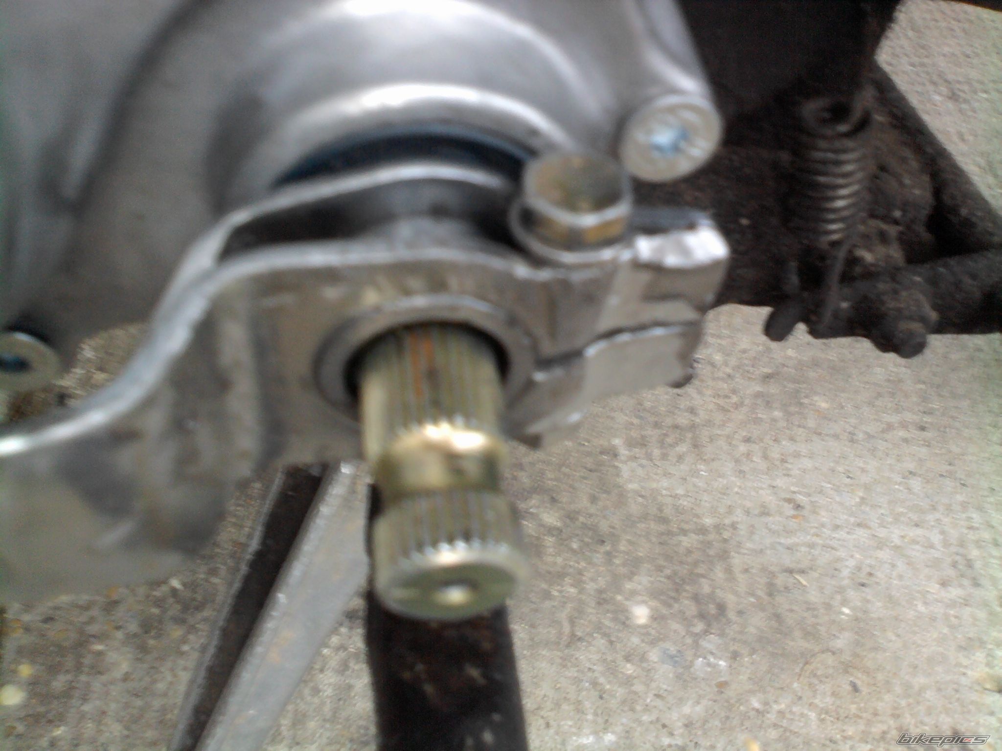 Photo 2637766
