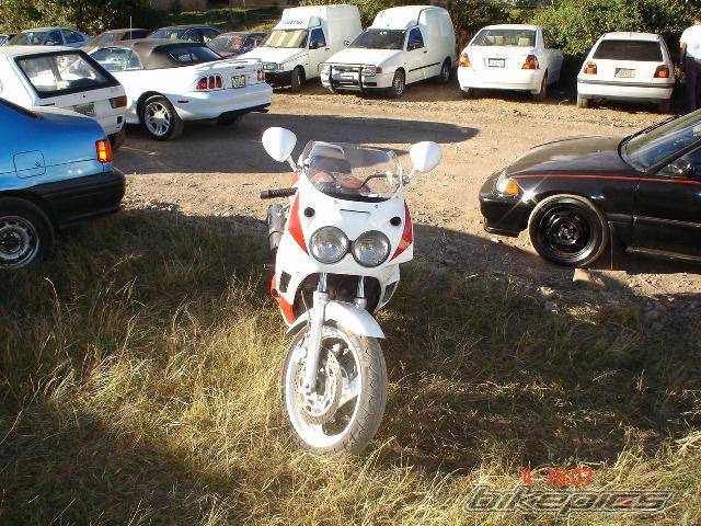 Photo 263787