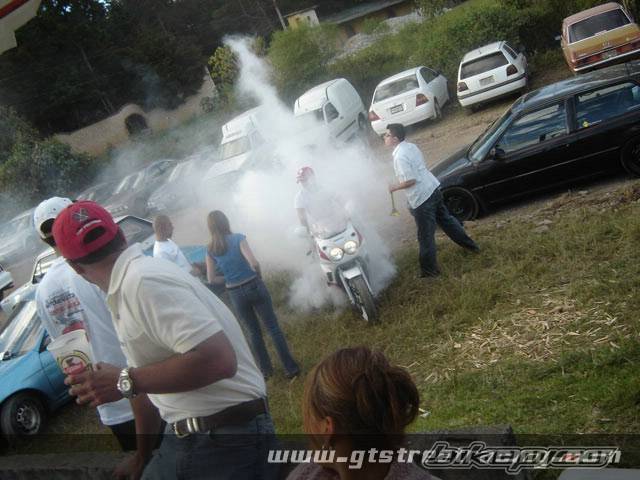 Photo 263791