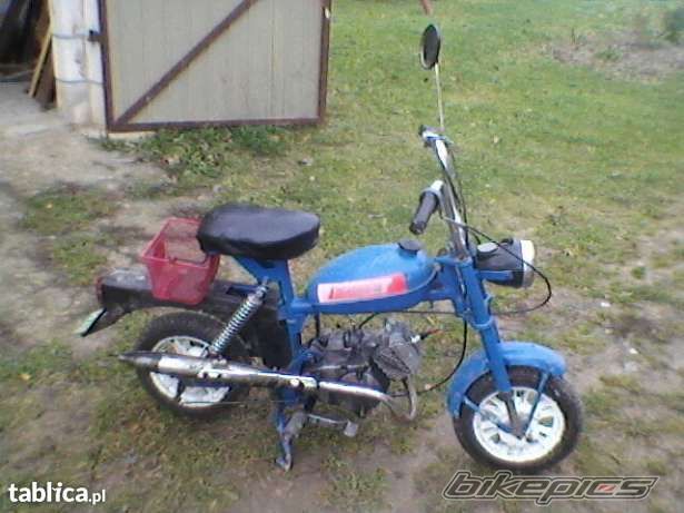 Photo 2637978
