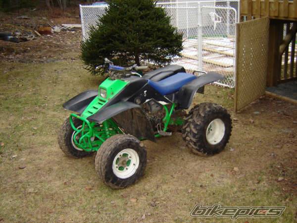 Photo 263799