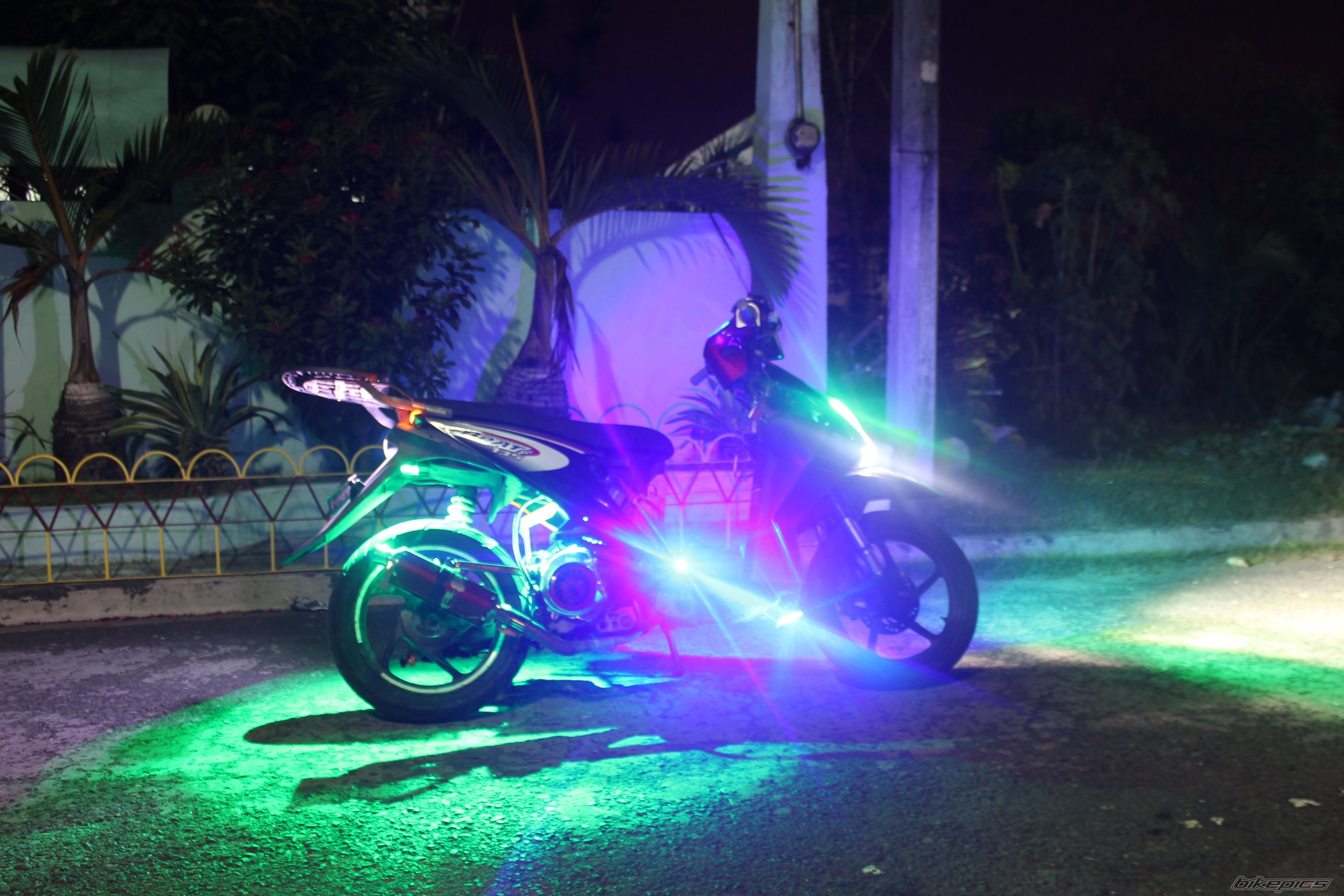 Photo 2638032