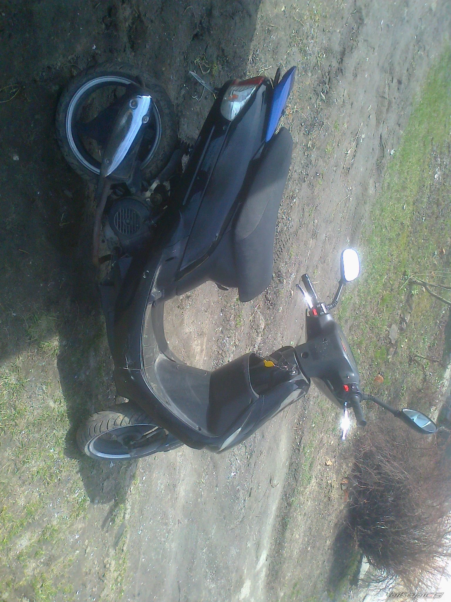 Photo 2638103