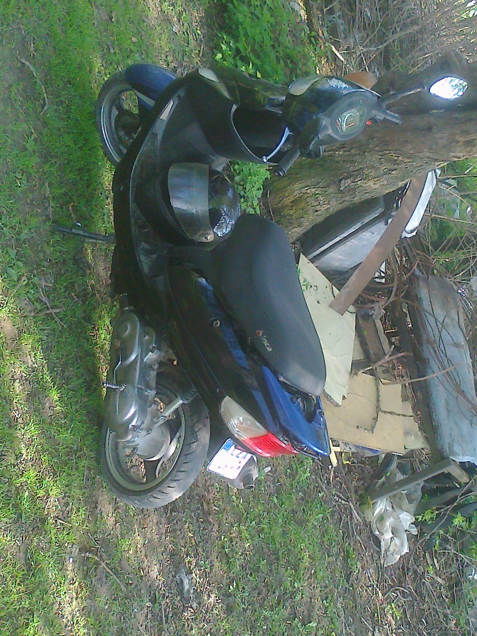 Photo 2638117