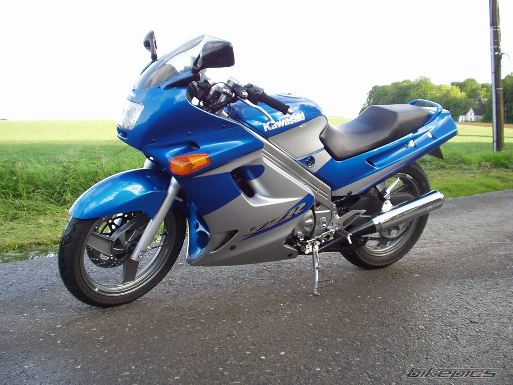 Photo 263822