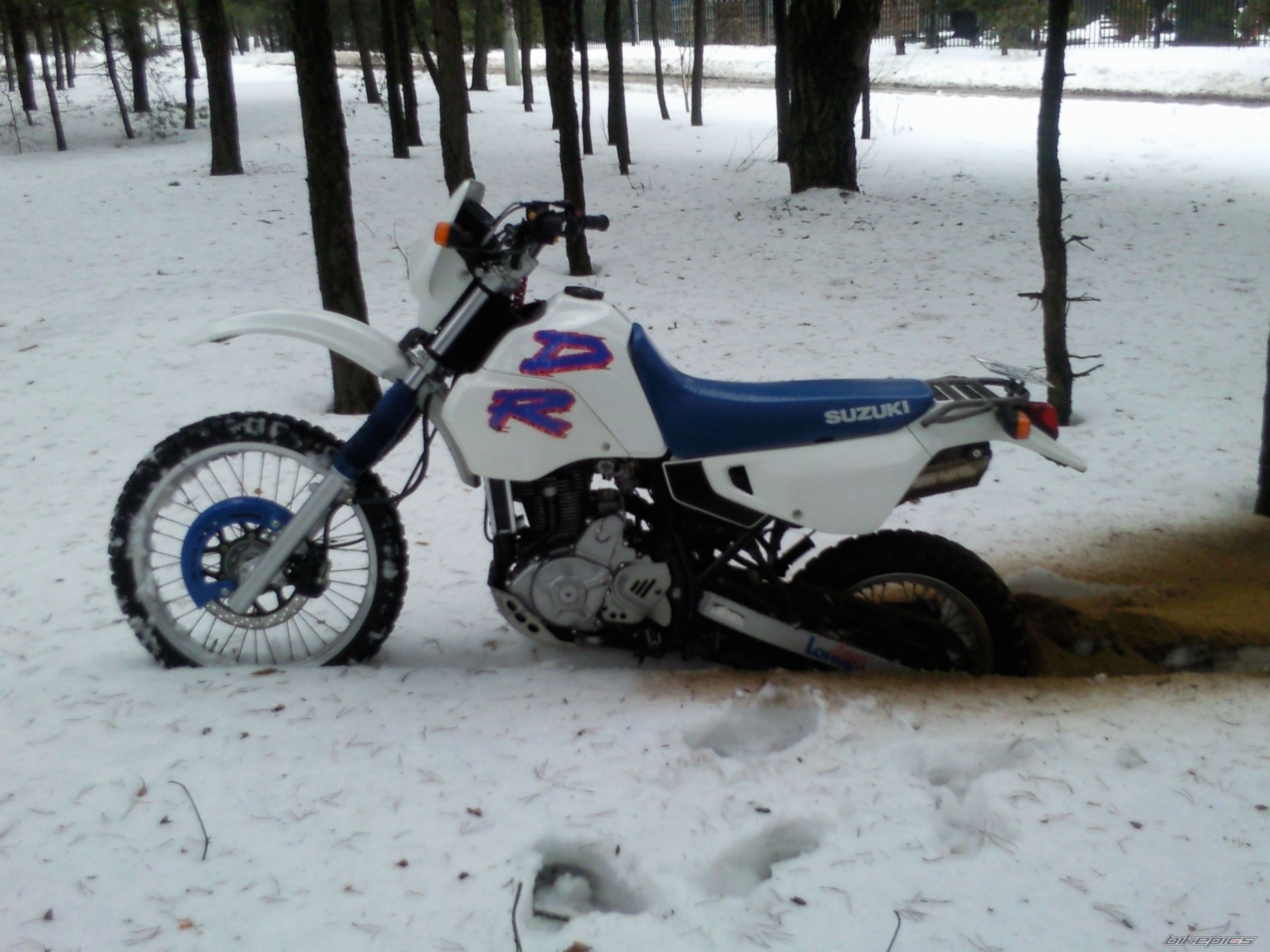 Photo 2638229