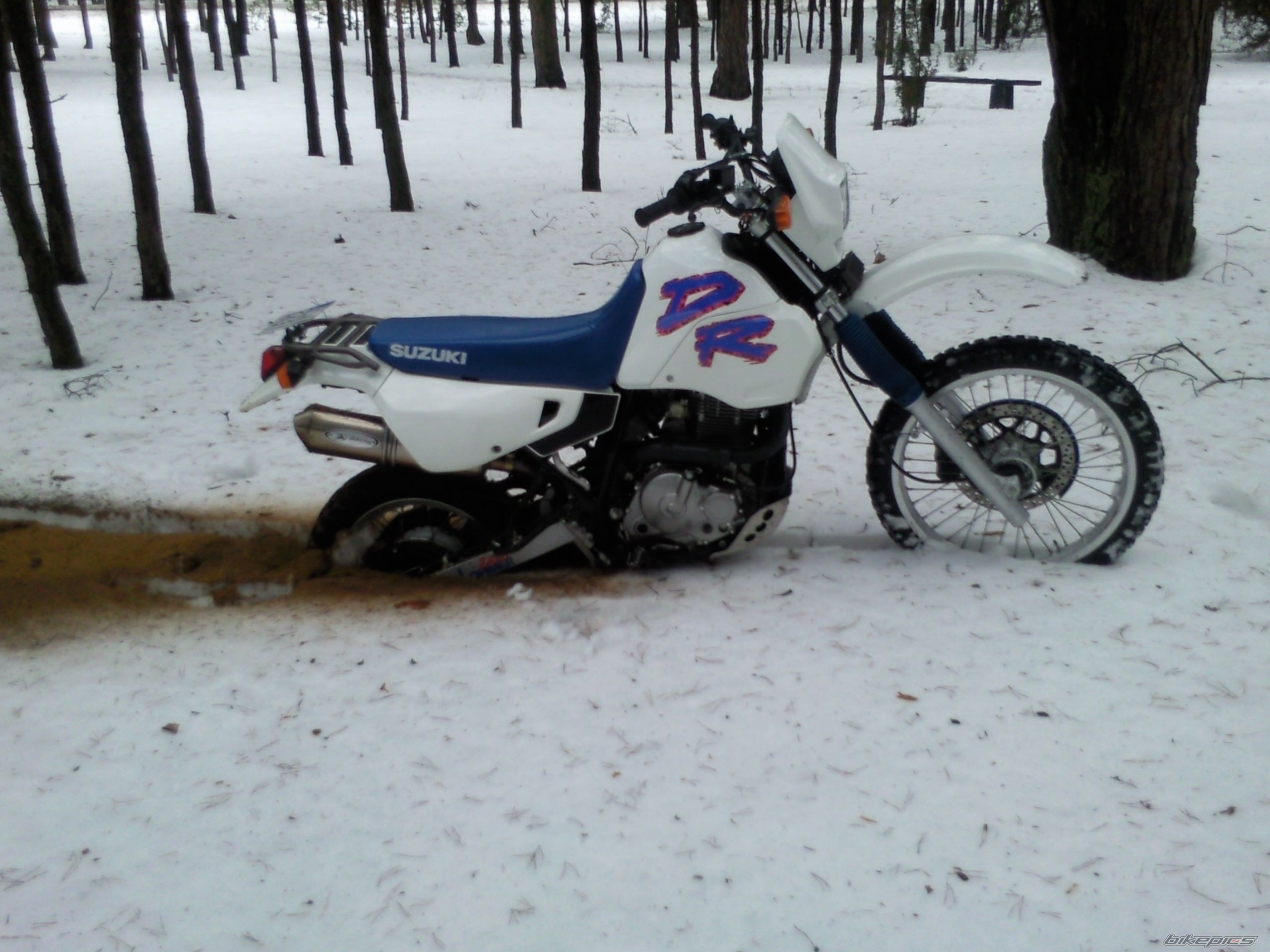 Photo 2638230