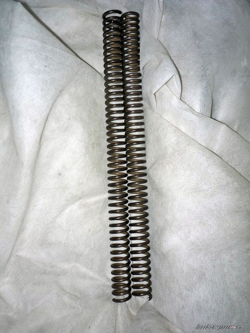Photo 2638249