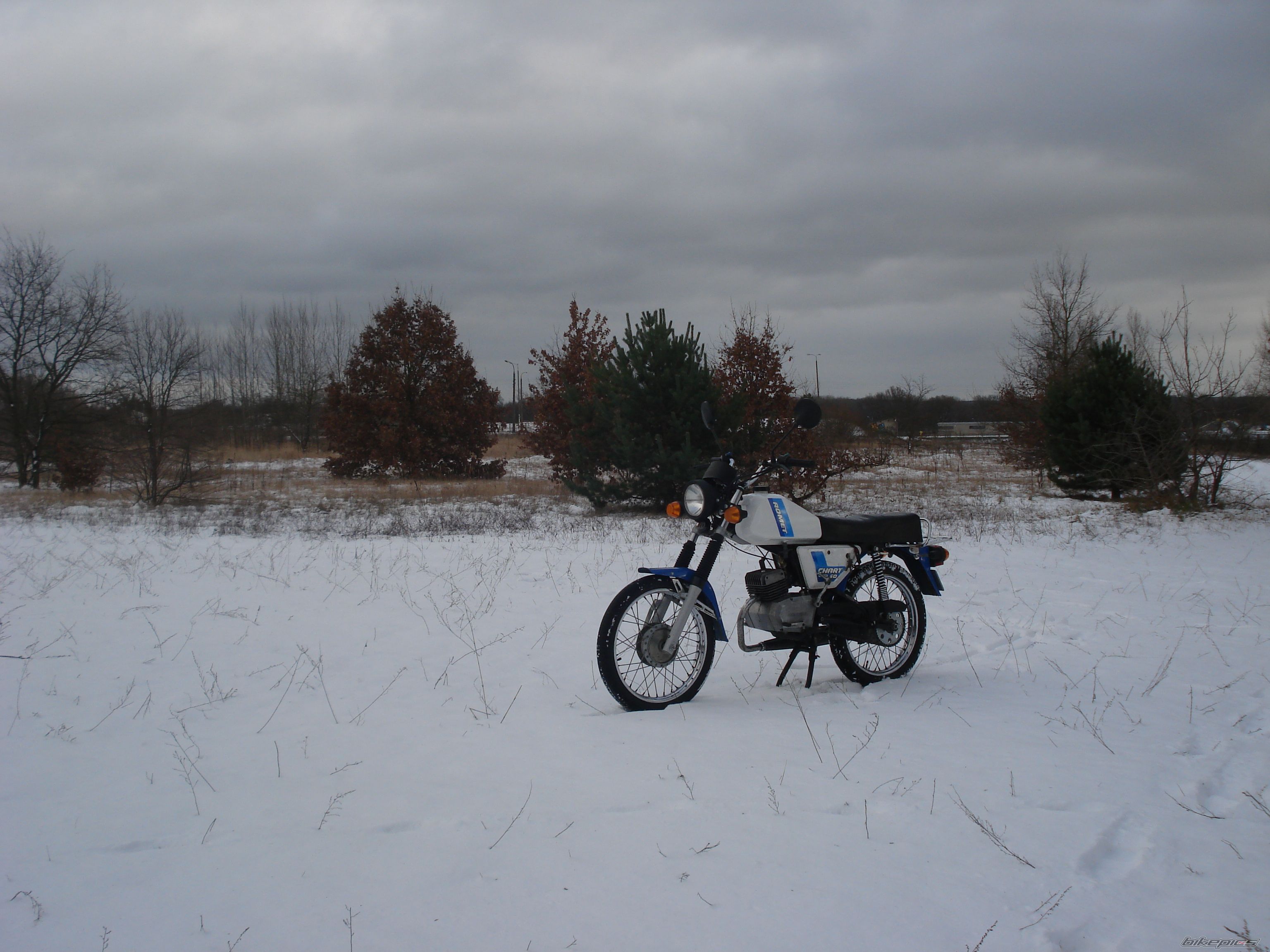 Photo 2638269