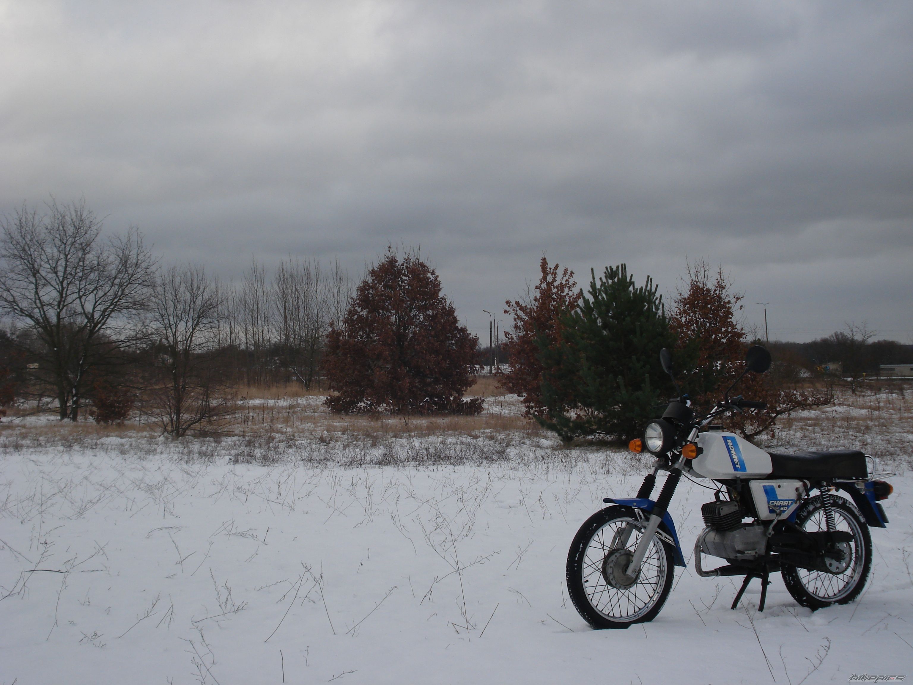 Photo 2638271
