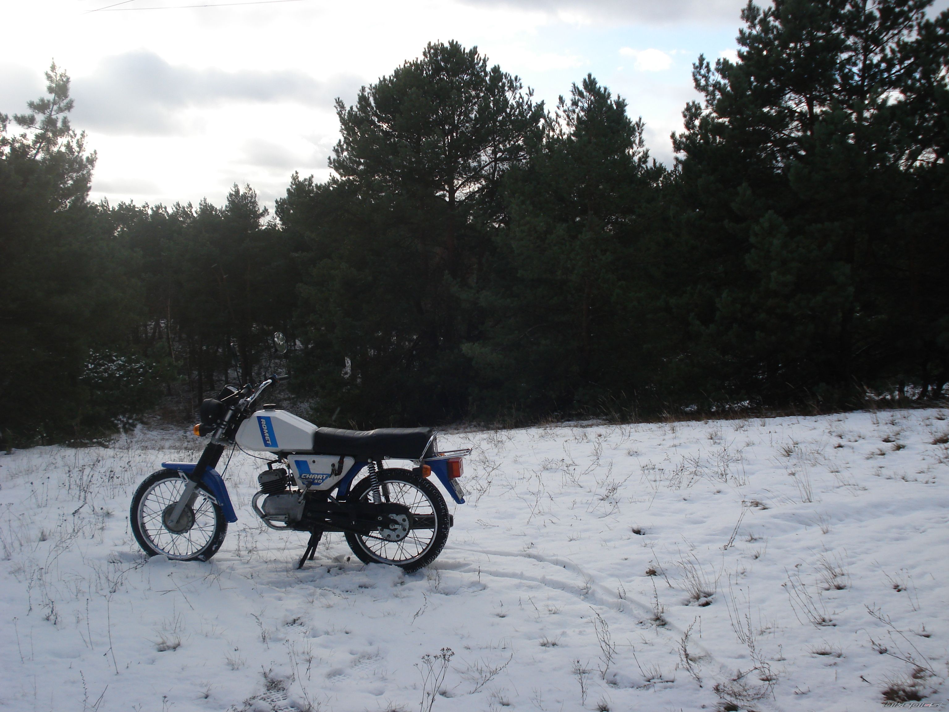 Photo 2638275