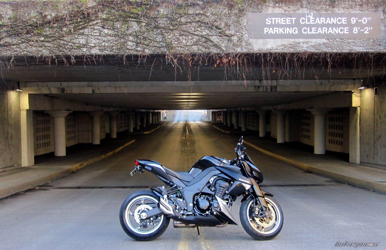 Bike Photo 2638341