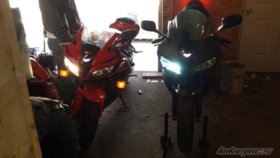 Photo 2638414