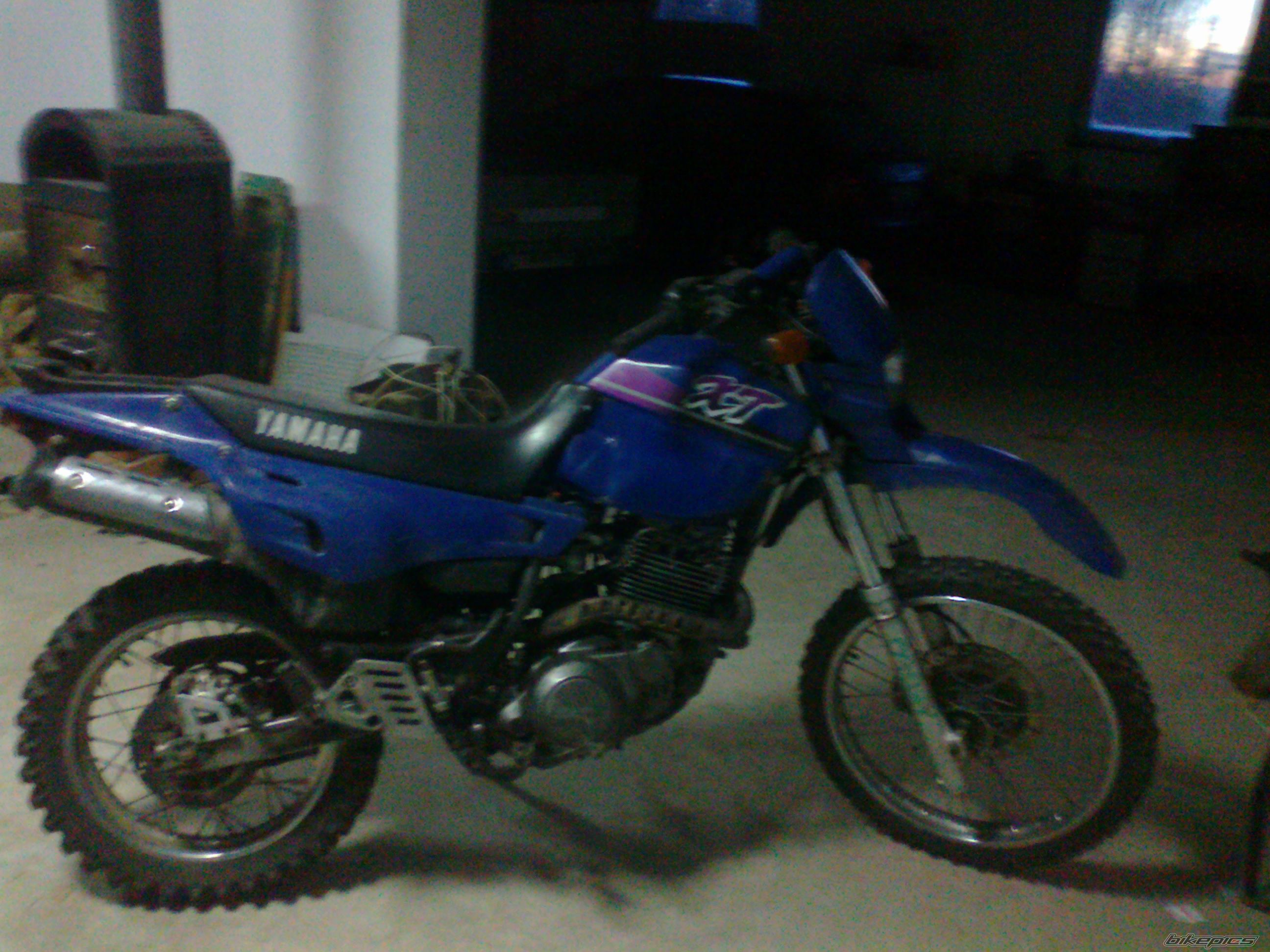 Photo 2638488