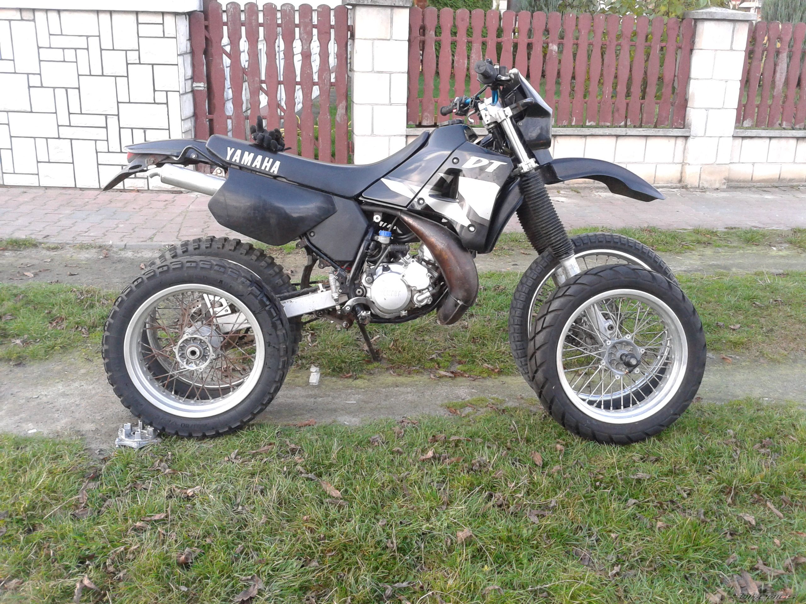 Photo 2638541